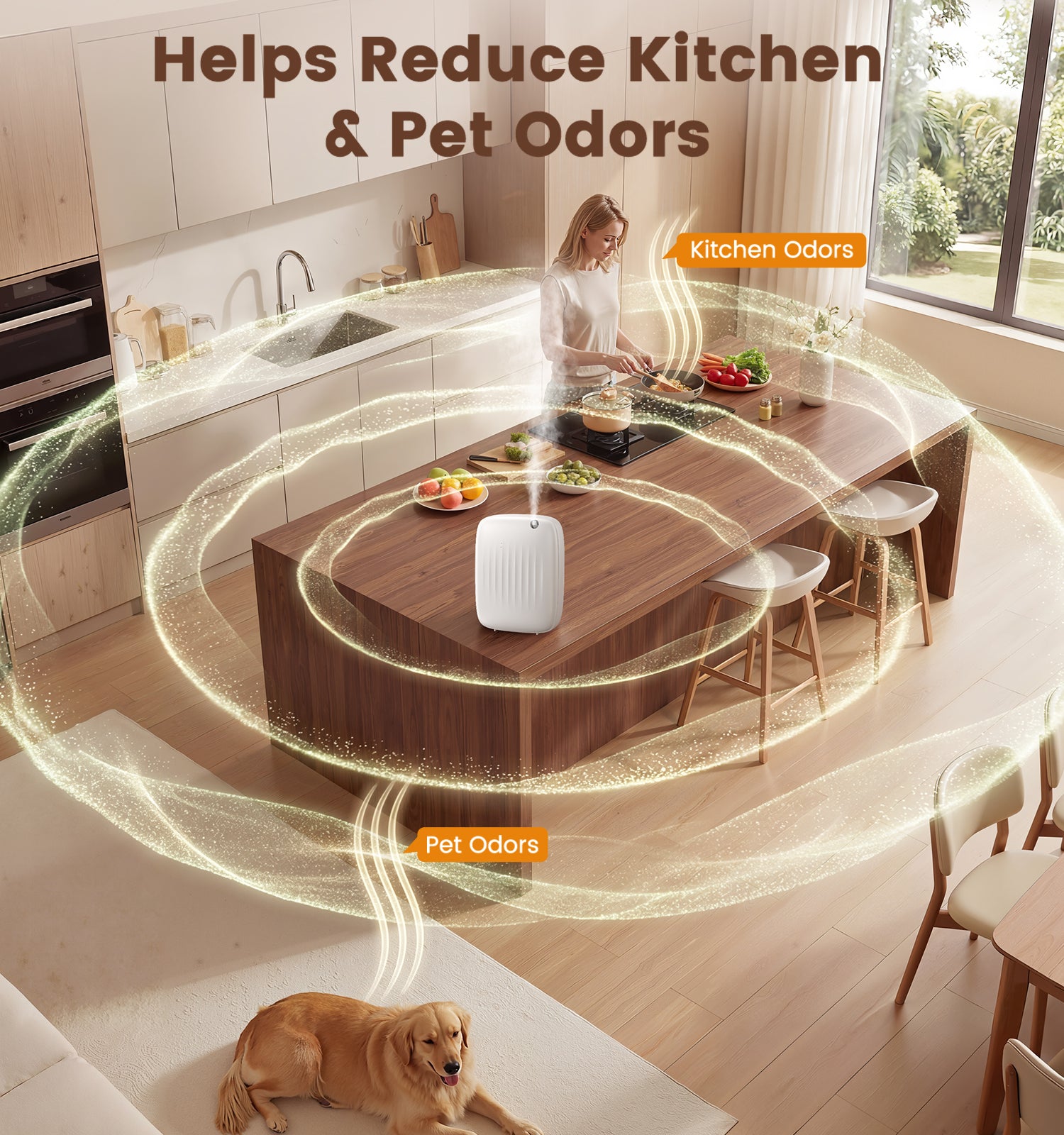 Ziweo Cold Air Essential Oil Diffuser | 400ml, 3000 sq.ft, App & Panel Control