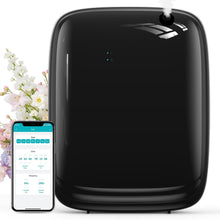 Ziweo 2,000 Sq. Ft. Smart Waterless Essential Oil Scent Diffuser