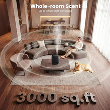 Up to 3,000 Sq.Ft Coverage